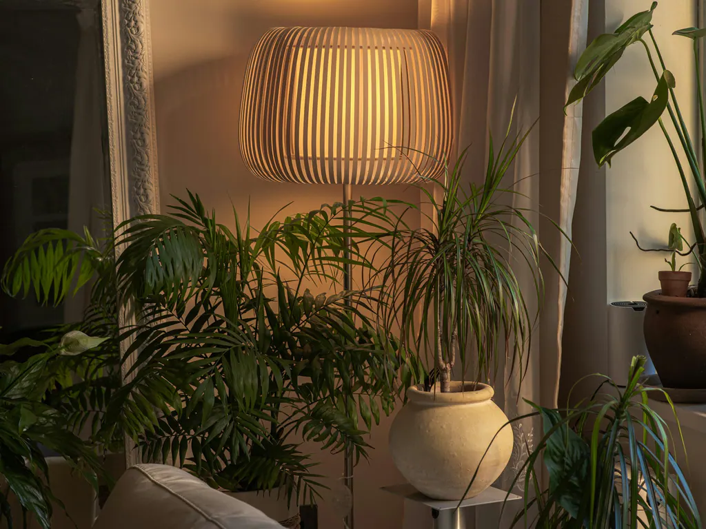 A pleated floor lamp glowing warm among houseplants in the evening